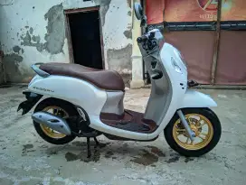Scoopy prestige ISTIMEWA