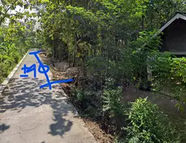 Lahan Non Pertanian Prospek Bagus (Tanah + Pohon Mayoritas Jati)