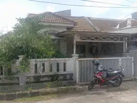 Rumah Murah Sektor 6 Gading Serpong Dekat Dengan Scientia Square Park
