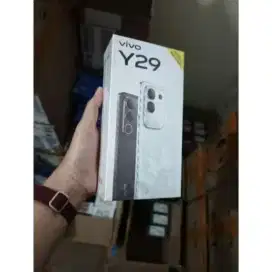 Vivo Y29 Ram 8/256