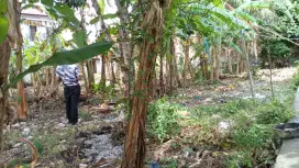 D jual cepat tanah daerah kayee lee