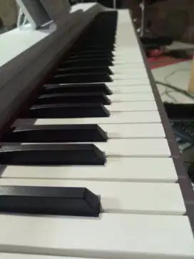 Digital Piano 88 Tuts