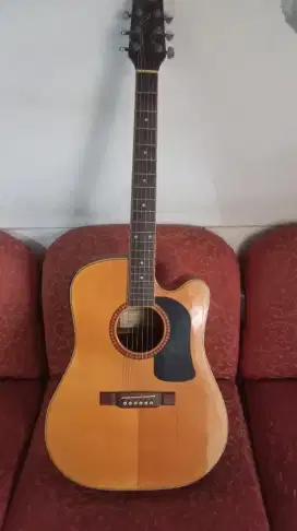 Gitar akustik elektrik Washburn