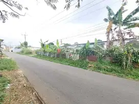 Dijual Tanah kebun produktif dikalan raya gunung salak endah