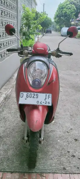 Honda Scoopy 2011
