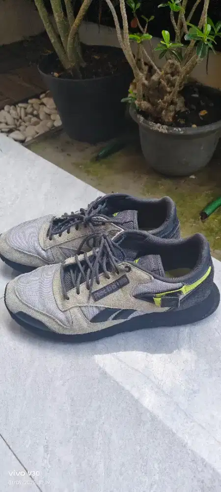 Reebok klasik 43