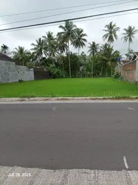 Tanah Murah prospektif