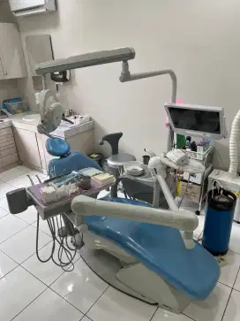 Dental unit gnatus