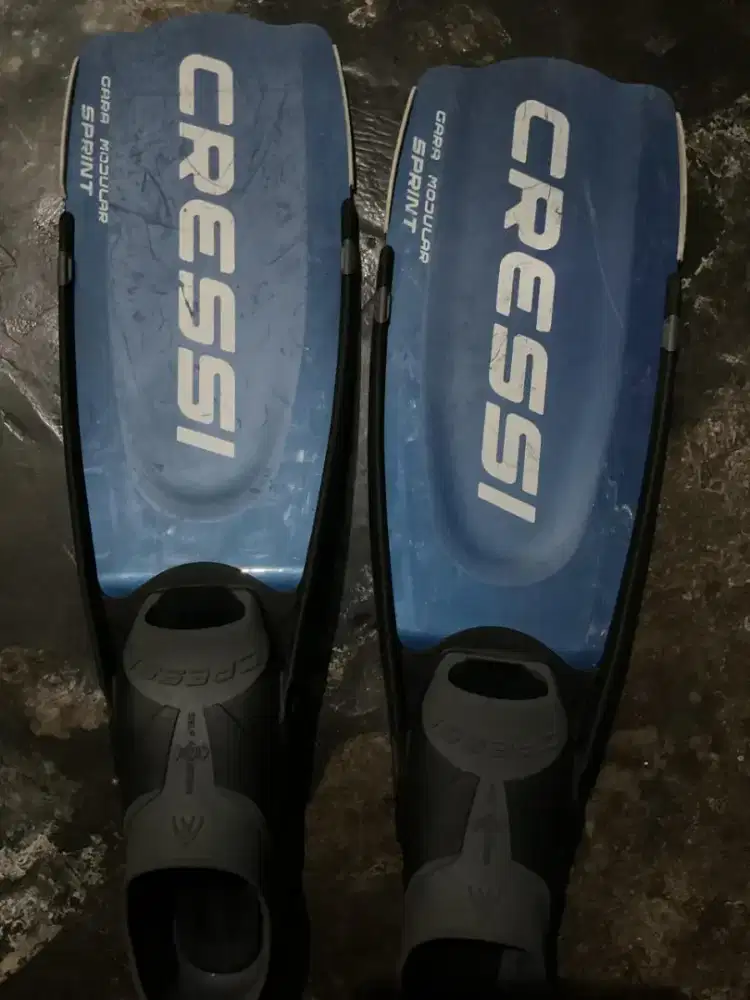 Fins scuba, open water