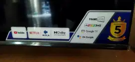 Google TV Polytron