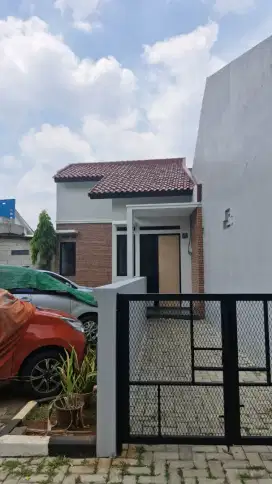 Rumah disewakan
