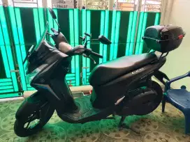 Lexi 2020 Black Doff mulus