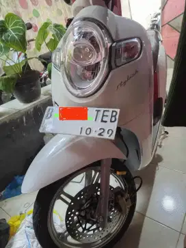 Honda Scoopy  2019