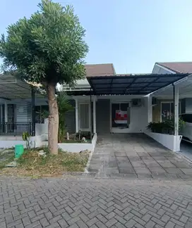 Murah Rumah 1 Lantai di Palma Classica Citraland Utara, Surabaya Barat