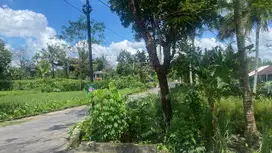 Tanah Utara Resto Jejamuran 2 Jutaan View Sawah