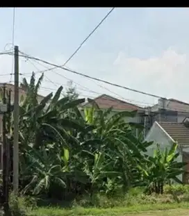 Tanah Kahuripan murah