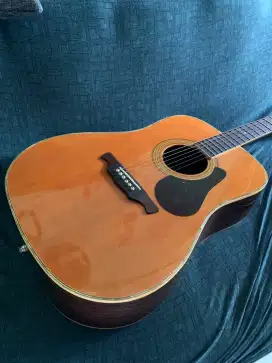 Alvarez gitar AD - 80S