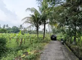Tanah sawah murah sleman ngemplak