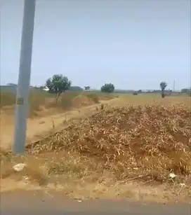DIJUAL LAHAN INDUSTRI 8 - 15 HA, KALINYAMATAN, JEPARA