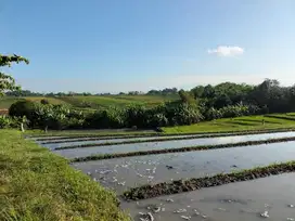 Tanah yeh gangga tabanan bali