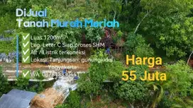 Murah Luas 1200m² Harga 55 juta Lokasi : Gunungkidul Yogyakarta