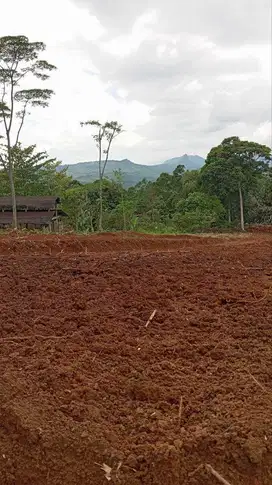 DI JUAL TANAH KAVLING SHM STRATEGIS VIEW GUNUNG HANJAWONG BOGOR TIMUR