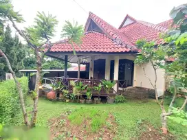 Rumah Dengan Taman Luas Harga Menarik di Komplek Nyaman Cinere