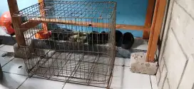 SUPER MURAH ! Kandang hewan + Perlengkapan lainnya (GRATIS !)