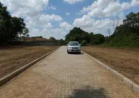Sleman Tanah Dijual Di Kalasan Jalan Raya LPMP Jogja