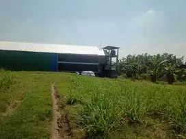 Tanah Murah Kepuh Kencono Pati Cocok Untuk Perumahan