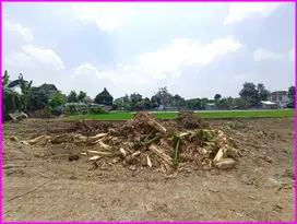 Nogotirto, Tanah Dekat Kampus UTY Cocok Untuk Rumah