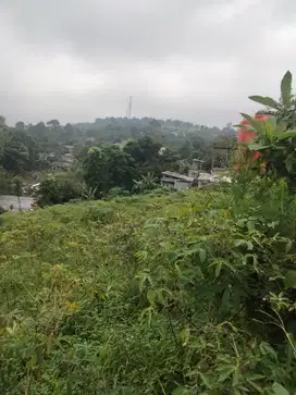di jual lahan kosong view gunung untuk villa di gunungeulis dekat golf