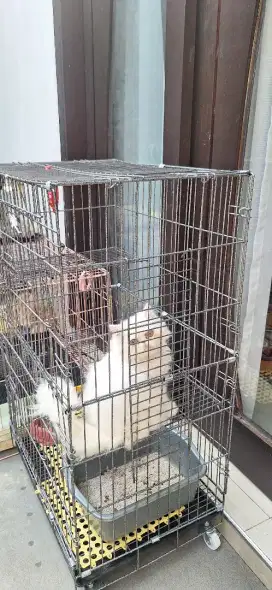 Jual kandang kucing