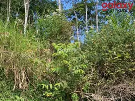 DIJUAL TANAH RAYA BEDUGUL PANCASARI SUKASADA BULELENG, BALI
