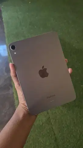 Ipad mini 7 256giga wifi resmi