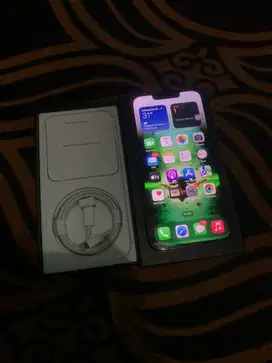 Iphone 13 Pro 512GB iBox