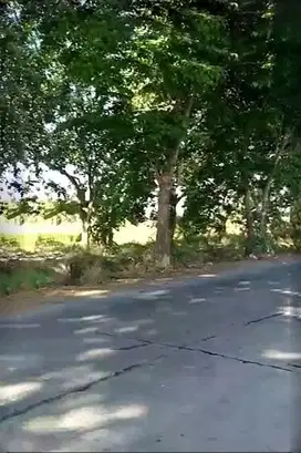 Tanah Zona Pergudangan dan Industri Di Sukodono, Sawocangkring Sidoaro