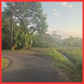 Tanah Jogja Area Jl Kaliurang Km10 Cocok Hunian SHM Pekarangan