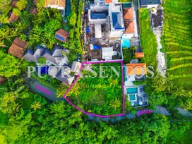 TANAH PERERENAN 500 METER PANTAI LOS SUNGAI VIEW SAWAH