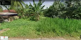 DIJUAL TANAH CEPAT BUC