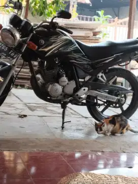Scorpio z 2010 old