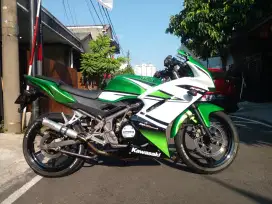 Ninja RR 2015 aniversary