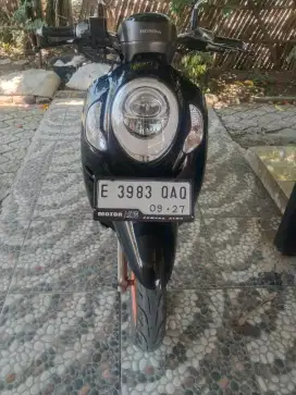 honda scoopy pretige