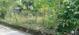 Tanah Luas 1165 Meter Persegi Lokasi Strategis Dekat RSUD Sleman