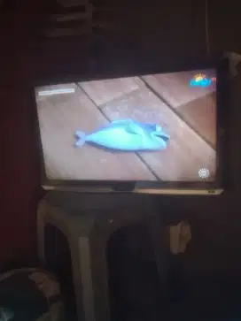 Tv led tcl 24 inch