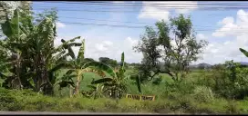 Di Jual Tanah Sawah Kering Pinggir Jalan