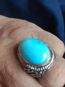 PIRUS Blue cinta nya PERSIA