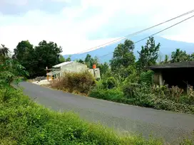 TANAH MURAH PINGGIR JALAN UTAMA DESA.TANJUNG JATI WARKUK RANAU SELATAN