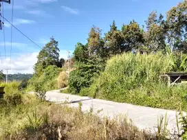 TANAH MURAH DEPAN JALAN UTAMA MENUJU WISATA AIR PANAS