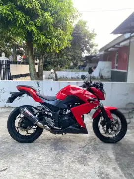 Kawasaki Ninja Z250 2013 Muluss